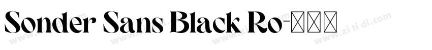 Sonder Sans Black Ro字体转换 Sonder Sans Black Ro字体转换